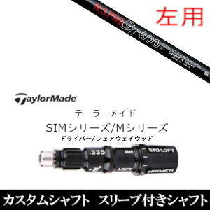 JX^Nu ypz X[utVtg {Vtg GkGXv N.S.PRO GT600 FW e[[ChQi35AQi10ASTEALTH2ASIMV[YΉ DR FWp±2°