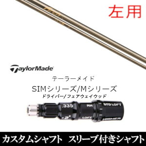 JX^Nu ypzX[utVtg Arch GOLF A[`St CA-01P e[[ChQi35AQi10ASTEALTH2ASIMV[YΉX[u DR FWp±2°