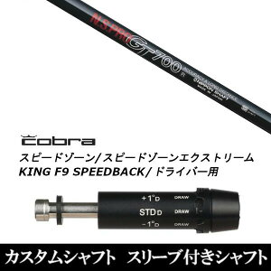 JX^Nu X[utVtg {Vtg GkGXv N.S.PRO GT700 RuA_vg DS-ADAPT XADS-ADAPTAMAX-KADS-ADAPTΉ hCo[p