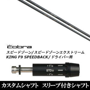 JX^Nu X[utVtg Arch GOLF A[`St KaMsc16609P RuA_vg DS-ADAPT XADS-ADAPTAMAX-KADS-ADAPTΉ hCo[p