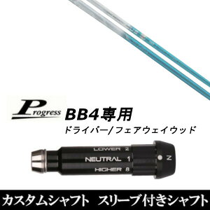 JX^Nu X[utVtg oVEX gCt@X gCUtB[ Progress BB4 hCo[ FWp