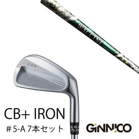 カスタムクラブ 7本セット / イオンスポーツ ジニコ GINNICO CB+ Iron #5-A / ワクチンコンポ GR350 WACCINEcompo GR350 / EONSPORTS