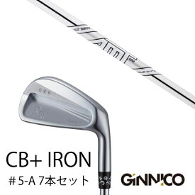 カスタムクラブ 7本セット / イオンスポーツ ジニコ GINNICO CB+ Iron #5-A / ダイナミックゴールド DG AMTツアーホワイト / EONSPORTS