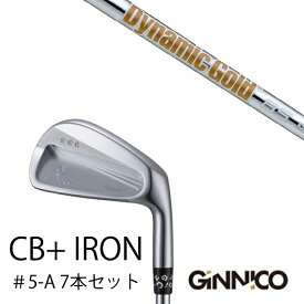 カスタムクラブ 7本セット / イオンスポーツ ジニコ GINNICO CB+ Iron #5-A / ダイナミックゴールド 85 DG85 トゥルーテンパー / EONSPORTS