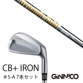 カスタムクラブ 7本セット / イオンスポーツ ジニコ GINNICO CB+ Iron #5-A / ダイナミックゴールド 95 DG95 トゥルーテンパー / EONSPORTS