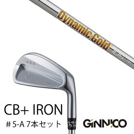 カスタムクラブ 7本セット / イオンスポーツ ジニコ GINNICO CB+ Iron #5-A / ダイナミックゴールド 105 DG105 トゥルーテンパー / EONSPORTS