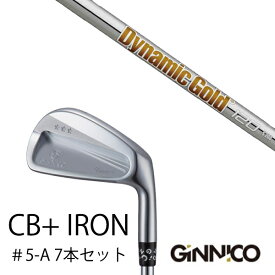 カスタムクラブ 7本セット / イオンスポーツ ジニコ GINNICO CB+ Iron #5-A / ダイナミックゴールド 120 DG120 トゥルーテンパー / EONSPORTS