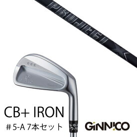 カスタムクラブ 7本セット / イオンスポーツ ジニコ GINNICO CB+ Iron #5-A / プロジェクトX オールブラック トゥルーテンパー / EONSPORTS