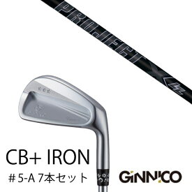 カスタムクラブ 7本セット / イオンスポーツ ジニコ GINNICO CB+ Iron #5-A / プロジェクトX LZblack オールブラック トゥルーテンパー / EONSPORTS