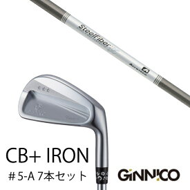 カスタムクラブ 7本セット / イオンスポーツ ジニコ GINNICO CB+ Iron #5-A / スチールファイバー i シリーズ トゥルーテンパー / EONSPORTS