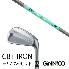 カスタムクラブ 7本セット / イオンスポーツ ジニコ GINNICO CB+ Iron #5-A / スチールファイバー Hツアー シリーズ トゥルーテンパー / EONSPORTS