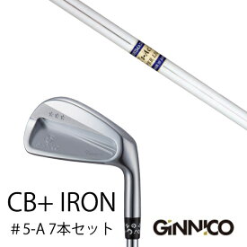 カスタムクラブ 7本セット / イオンスポーツ ジニコ GINNICO CB+ Iron #5-A / K's-Ac10 ケーズAc10 島田ゴルフ製作所 / EONSPORTS