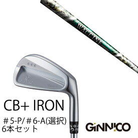 カスタムクラブ 6本セット / イオンスポーツ ジニコ GINNICO CB+ Iron #5-P ＃6-A 番手選択 / ワクチンコンポ GR350 WACCINEcompo GR350 / EONSPORTS