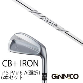 カスタムクラブ 6本セット / イオンスポーツ ジニコ GINNICO CB+ Iron #5-P ＃6-A 番手選択 / ダイナミックゴールド DG AMTツアーホワイト / EONSPORTS