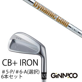 カスタムクラブ 6本セット / イオンスポーツ ジニコ GINNICO CB+ Iron #5-P ＃6-A 番手選択 / ダイナミックゴールド 85 DG85 トゥルーテンパー / EONSPORTS