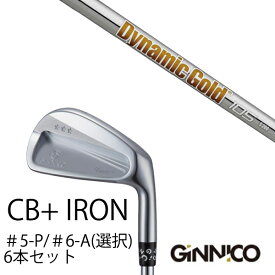 カスタムクラブ 6本セット / イオンスポーツ ジニコ GINNICO CB+ Iron #5-P ＃6-A 番手選択 / ダイナミックゴールド 105 DG105 トゥルーテンパー / EONSPORTS