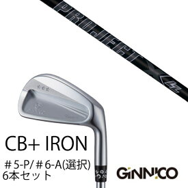 カスタムクラブ 6本セット / イオンスポーツ ジニコ GINNICO CB+ Iron #5-P ＃6-A 番手選択 / プロジェクトX LZblack オールブラック トゥルーテンパー / EONSPORTS