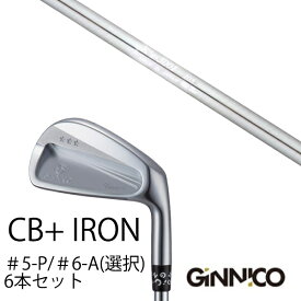 カスタムクラブ 6本セット / イオンスポーツ ジニコ GINNICO CB+ Iron #5-P ＃6-A 番手選択 / K's-3001 105 ケーズ3001 105 島田ゴルフ製作所 / EONSPORTS