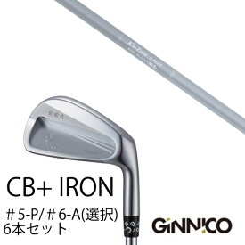 カスタムクラブ 6本セット / イオンスポーツ ジニコ GINNICO CB+ Iron #5-P ＃6-A 番手選択 / K'S Tour ケーズツアー 島田ゴルフ製作所 / EONSPORTS