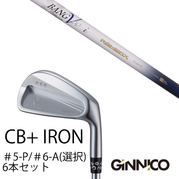 販売特注 6本セット / イオンスポーツ ジニコ GINNICO CB+ Iron #5-P