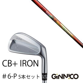 カスタムクラブ 5本セット / イオンスポーツ ジニコ GINNICO CB+ Iron #6-P / 秩父 chichibu アイアン グラファイトデザイン / EONSPORTS