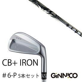 カスタムクラブ 5本セット / イオンスポーツ ジニコ GINNICO CB+ Iron #6-P / TRPX trpx-Iron トリプルエックス アイアン / EONSPORTS