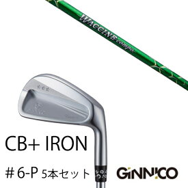 カスタムクラブ 5本セット / イオンスポーツ ジニコ GINNICO CB+ Iron #6-P / ワクチンコンポ GR351 WACCINEcompo GR351 / EONSPORTS