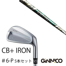 カスタムクラブ 5本セット / イオンスポーツ ジニコ GINNICO CB+ Iron #6-P / ワクチンコンポ GR350 WACCINEcompo GR350 / EONSPORTS