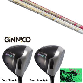 カスタムクラブ イオンスポーツ GINNICO MODEL02C DRIVER ジニコ モデル02C ドライバー フジクラ スピーダー エボリューション 7 SPEEDER EVOLUTION 7 シャフト ヘッドカバー付き