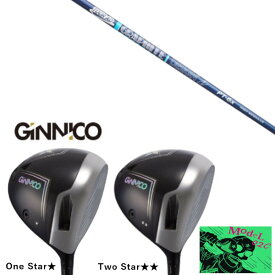 カスタムクラブ イオンスポーツ GINNICO MODEL02C DRIVER ジニコ モデル02C ドライバー グラファイトデザイン ツアー TOUR AD PT 高弾性モデル シャフト ヘッドカバー付き