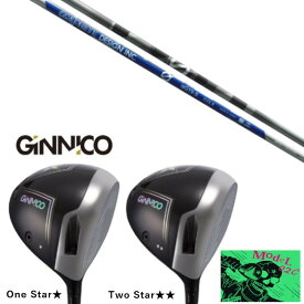 カスタムクラブ イオンスポーツ GINNICO MODEL02C DRIVER ジニコ モデル02C ドライバー グラファイトデザイン アンチ グラビティ aG19 anti Gravity aG19 シャフト ヘッドカバー付き