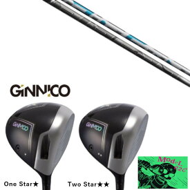 カスタムクラブ イオンスポーツ GINNICO MODEL02C DRIVER ジニコ モデル02C ドライバー フジクラ エアースピーダー AIR SPEEDER シャフト ヘッドカバー付き