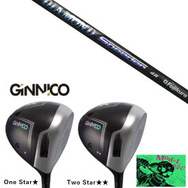 カスタムクラブ イオンスポーツ GINNICO MODEL02C DRIVER ジニコ モデル02C ドライバー フジクラ ダイアモンド スピーダー DIAMOND Speeder シャフト ヘッドカバー付き