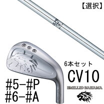 楽天市場】タイトリスト t300 #5の通販