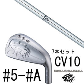 カスタムクラブ エミリットバハマ カールヴィンソン CV10 アイアン #5-#A 7本セット / NSプロ V90 エヌエスプロ 日本シャフト
