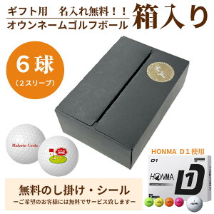 6pbN Mtgp@ʃvgΉ St{[  IEl[ z}St HONMA D1 2024f 6 IWif[^x Mtg  ii Cxg mxeB[ɂ