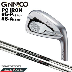 カスタムクラブ【6本セット#5-P/ #6-A】GINNICO ジニコ PC IRON アイアン TRUE TEMPERトゥルーテンパーELEVATE MPH 95 エレベート アイアン シャフト