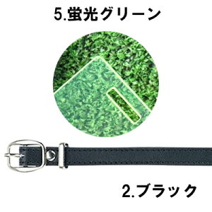 Ԍ艿i |bL 1000~ y ANl[v[g zSt l[v[g xgt  St^O l[^O s^O D Ov[g D StMtg v[