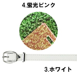 Ԍ艿i |bL 1000~ y ANl[v[g zSt l[v[g xgt  St^O l[^O s^O D Ov[g D StMtg v[