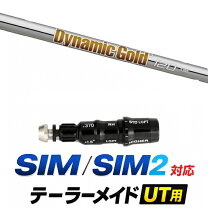 楽天市場】sim アイアン ダイナミックゴールドの通販