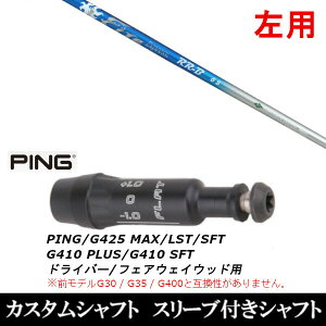 JX^Nu ypz X[utVtg R|WbgeNm t@C[GNXvX RR-B FireExpressRR-B sPING G440AG430AG425AG410Ή hCo[ FWp