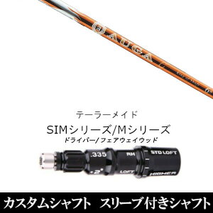 JX^Nu X[utVtg UST}~ IEKW[ AUGA g e[[ChQi35AQi10ASTEALTH2ASIMV[YΉX[u DR FWp±2°