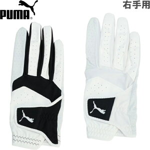 ylR|XzPUMA v[} St t@g U[O[u Ep 042017