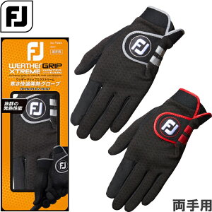 ylR|XzFOOTJOY tbgWC EFU[ObvGNXg[ StO[u p h~p/JpStO[u {dl FGWX22BG/BW