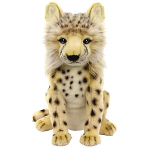 HANSA nT wbhJo[ ʂ `[^[(e) FWp tFAEFCEbhp BH8178 St pi ANZT[