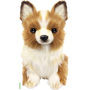 HANSA nT wbhJo[ ʂ ` FWp tFAEFCEbhp BH8179 St pi ANZT[