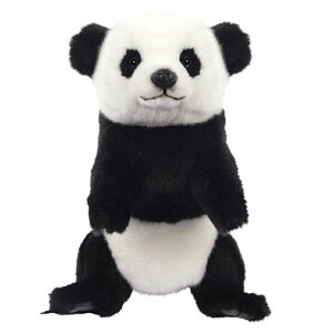 HANSA nT wbhJo[ ʂ p_ FWp tFAEFCEbhp BH8182 St pi ANZT[