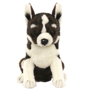 HANSA nT wbhJo[ ʂ nXL[ FWp tFAEFCEbhp BH8185 St pi ANZT[