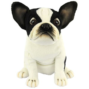 HANSA nT wbhJo[ ʂ t`uhbO FWp tFAEFCEbhp BH8271 St pi ANZT[