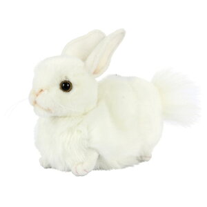 HANSA nT wbhJo[ ʂ VETM s^ PTp p^[p BH8324 St pi ANZT[